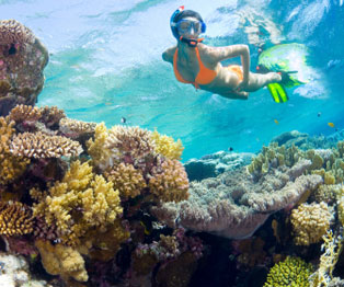 Clínicas de buceo en Nuevo Vallarta