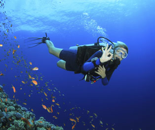 Buceo en Puerto Vallarta