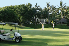 Paquete de Golf en Puerto Vallarta México