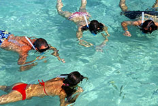 Paquete de Snorkeling en nuestro hotel de Quintana Roo
