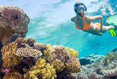 Paquete de buceo en nuestro hotel de Quintana Roo